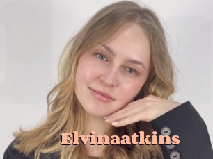 Elvinaatkins