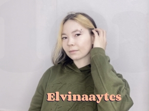 Elvinaaytes