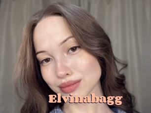 Elvinabagg