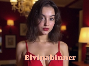 Elvinabinner