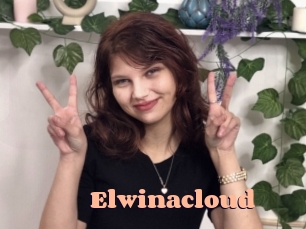 Elwinacloud