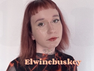 Elwinebuskey