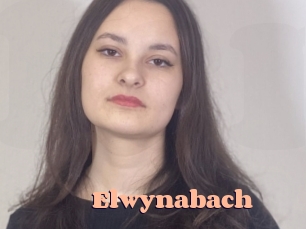 Elwynabach