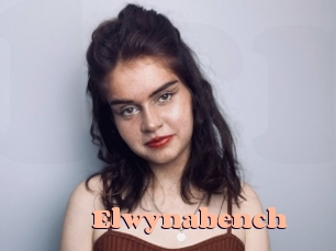 Elwynabench