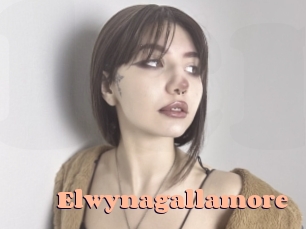 Elwynagallamore