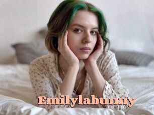 Emilylabunny