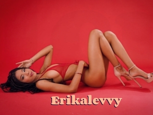 Erikalevvy