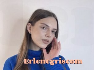 Erlenegriscom