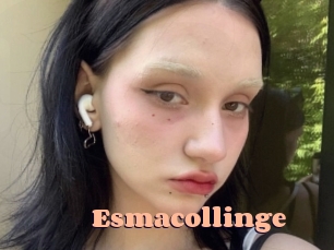 esmacollinge Chatte Rasée