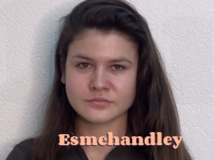 Esmehandley