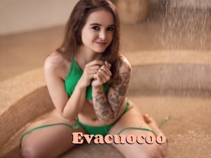 evacuocoo Chatte Rasée