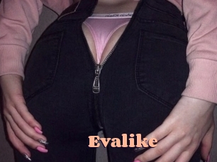 evalike Chatte Rasée
