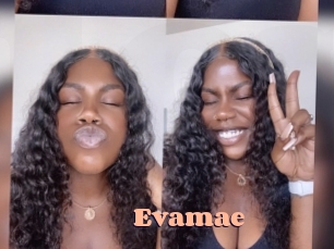 Evamae