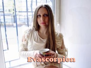 evascorpion Chatte Rasée