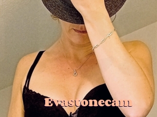 Evastonecam