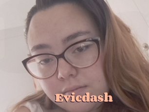 Eviedash