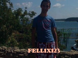 FELL1X123