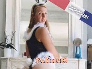 Feline18