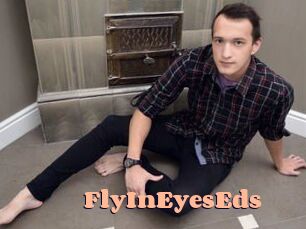 FlyInEyesEds