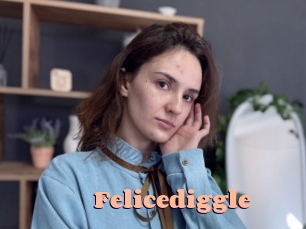 Felicediggle