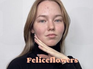 Feliceflowers