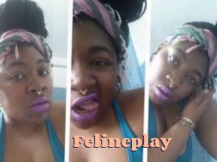 Felineplay