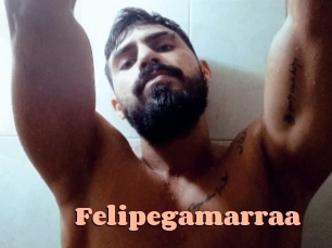 Felipegamarraa