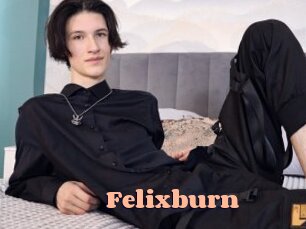 Felixburn