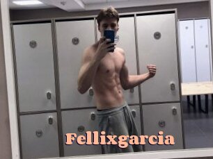 Fellixgarcia
