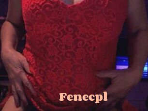 fenecpl Chatte Rasée