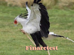 Finaretest