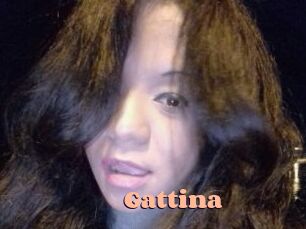 Gattina