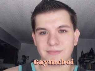 Gaymeboi