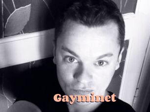 Gayminet