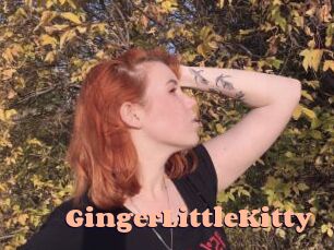 GingerLittleKitty