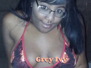 Grey_Ivy