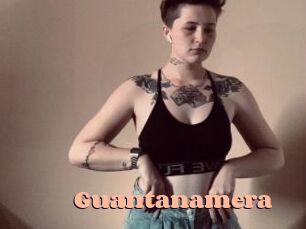 Guantanamera Chatte Rasée