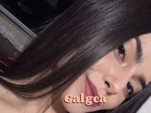 Galgea