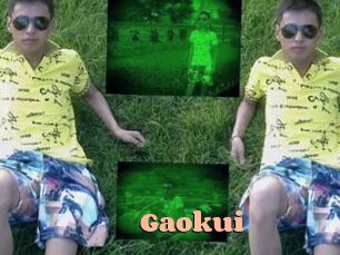 Gaokui