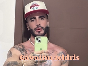 Gawainn_zeldris