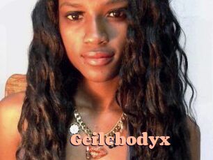 Geilebodyx