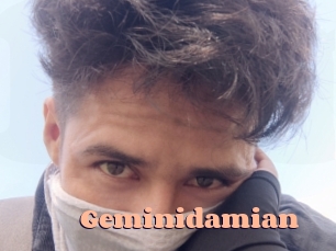 Geminidamian