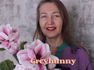 Greybunny