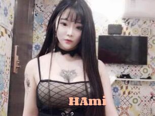 HAmi
