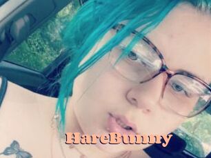 HareBunny