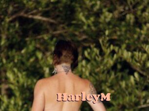 HarleyM