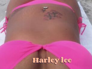 Harley_lee