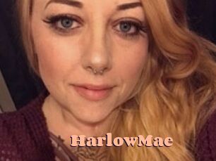 HarlowMae