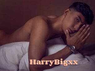 HarryBigxx