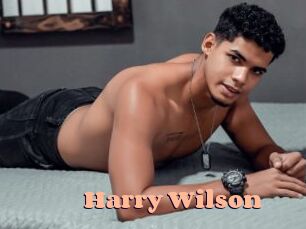 Harry_Wilson Chatte Rasée